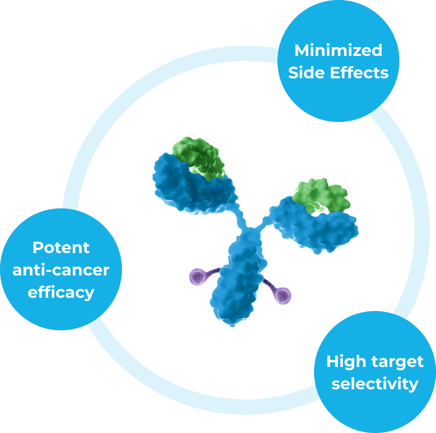 새로운 암 치료 가능성과 효율성을 높인 ADC